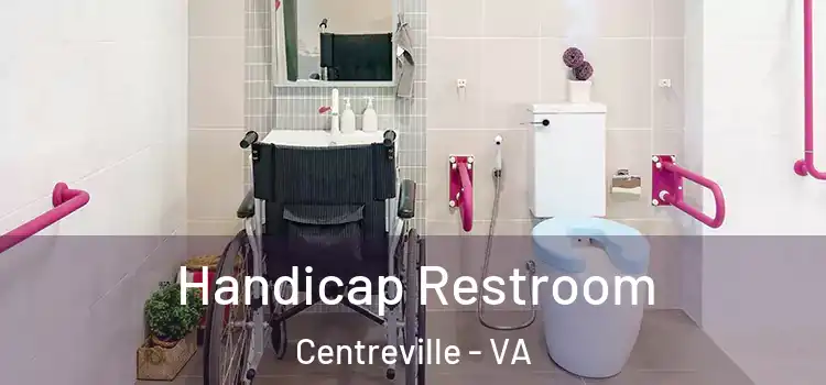 Handicap Restroom Centreville - VA