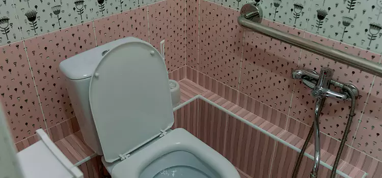 Meeting Diverse Needs With Accessible Restroom Solutions in Centreville, VA